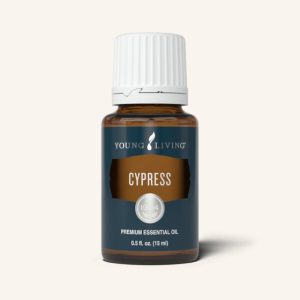 Cypress Essential Oil 15 ml