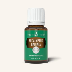 Eucalyptus Radiata Essential Oil 15 ml