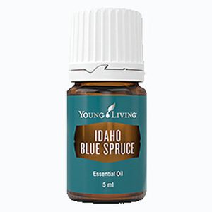 Idaho Blue Spruce Essential Oil